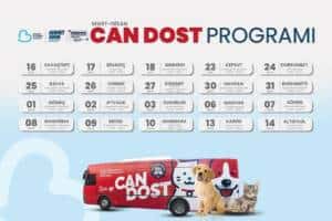 Balıkesir Büyükşehir Belediyesi, Can Dost Mobil Aracı ile 20 İlçede Sokak Hayvanlarına Tedavi Sunuyor