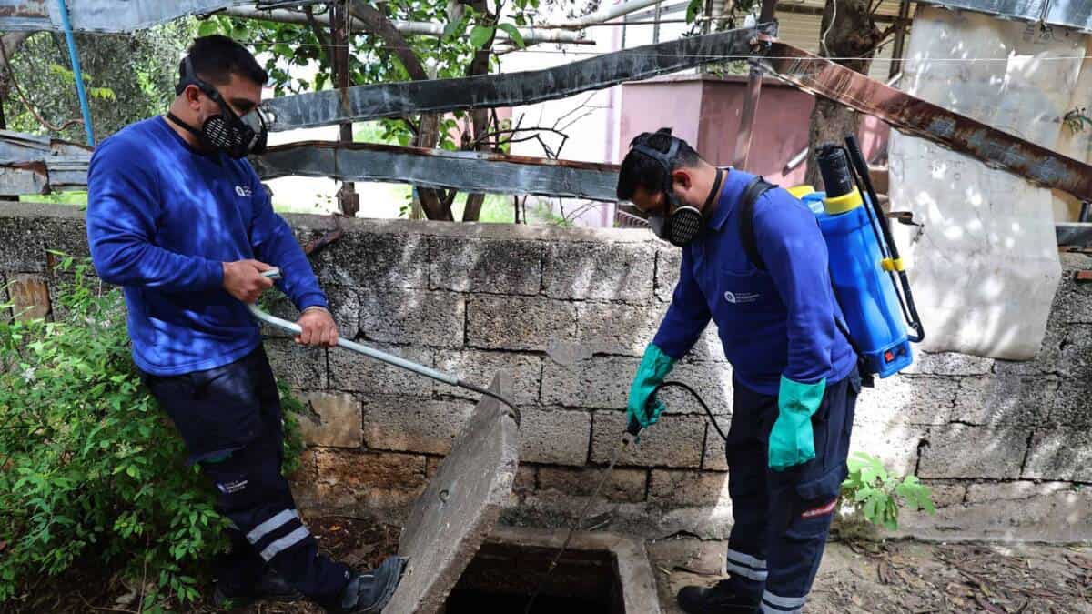 Antalya Büyükşehir Belediyesi, vektörle mücadelede çevre sağlığına öncelik veriyor
