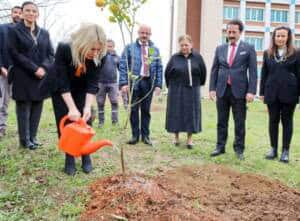 Akdeniz Üniversitesi Kampüslerinde Son İki Yılda 5 Bin 403 Fidan Toprakla Buluştu