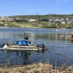 Kocaeli Büyükşehir Belediyesi Gölkaypark’taki Bıçkıdere Göleti’nde Kapsamlı Temizlik Yaptı